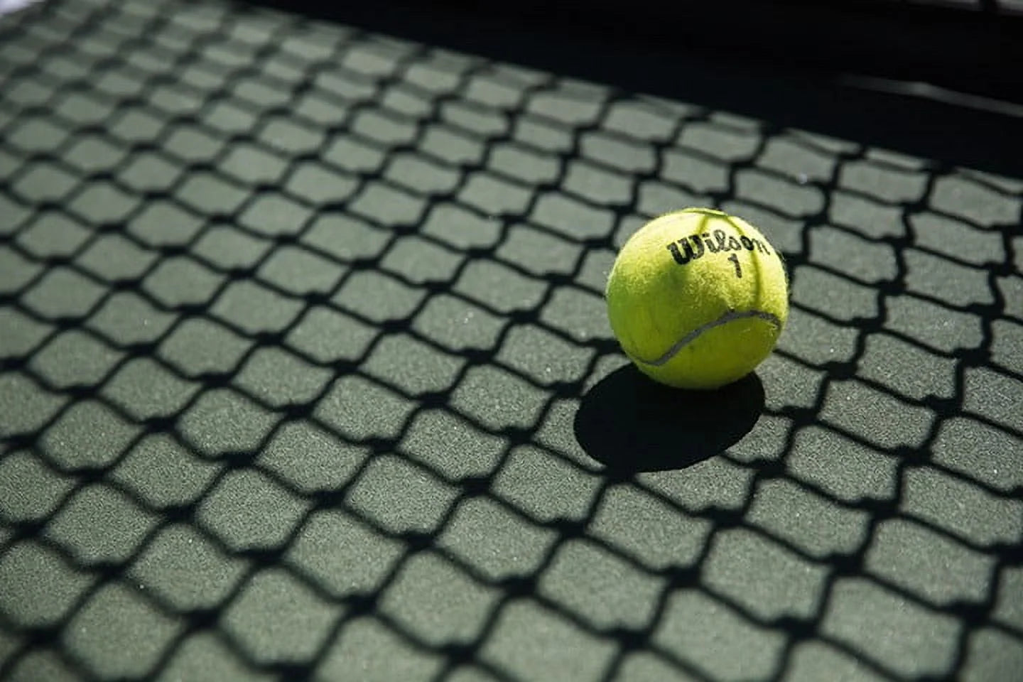 Championship Extra Duty Tennis Ball - 3 Ball Can